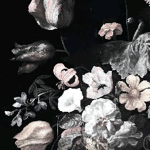 Guest_Maylu38