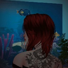 Guest_leeabrih