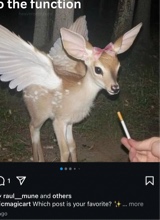 Guest_shartboii