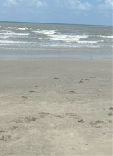 Guest_kandyy17