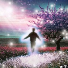avatar-billede