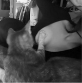 Guest_mmeeow