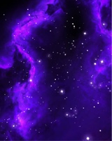 Guest_NOPOLOFN7