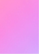 Guest_jao284071
