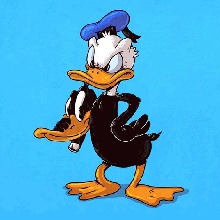 Guest_Zaydaplug2