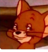Guest_realshit25567