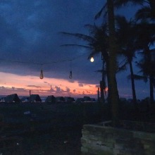 Guest_Puja22