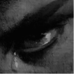 immagine avatar