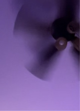 Guest_pookie758600