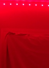 Guest_arianna700830