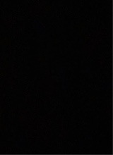 Guest_LucasMt4