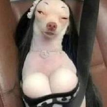 foto del avatar