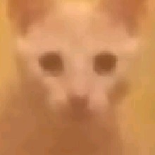 Guest_Eliah42