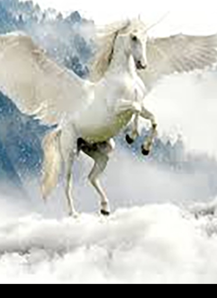 Guest_PegasusHELLAS