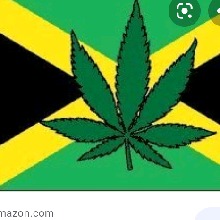 xxBRODDYxx