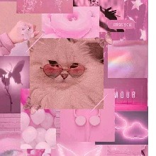 Guest_Xolxkdldkx