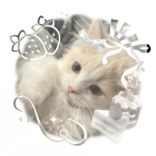 Guest_Maxie660938