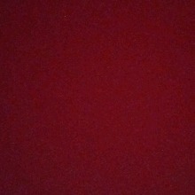 Guest_Erin381885