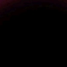Guest_marquesswisteriafc49