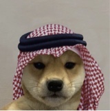 Guest_IKALLL