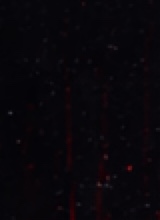 Guest_Josthin10
