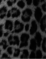 Guest_fineassmooks
