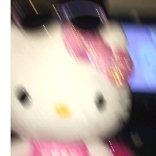 Guest_Pamegm1