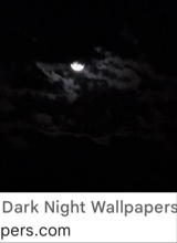 Guest_Wolfs5