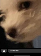 Guest_xXPureLuckXx