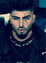 Guest_Alex6813