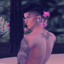 Guest_WanterCole