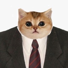 Guest_Paragon2