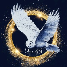 PolarOwl