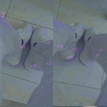 Guest_Yanny271