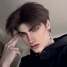 VlDl