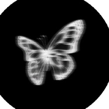 Guest_Kimberly66602