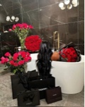 Guest_Malvina34