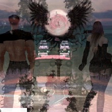 Guest_D3r6