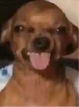 Stvcy