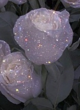 Guest_annabelle437772