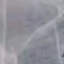 Guest_oxox00