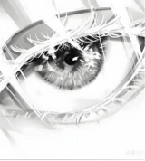 Guest_bymi