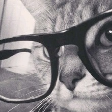 Guest_Kittyvs12