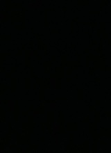 Guest_aaliyaha53