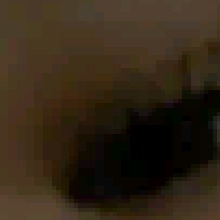 Guest_kara974789