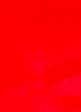 Guest_aliah1234567890
