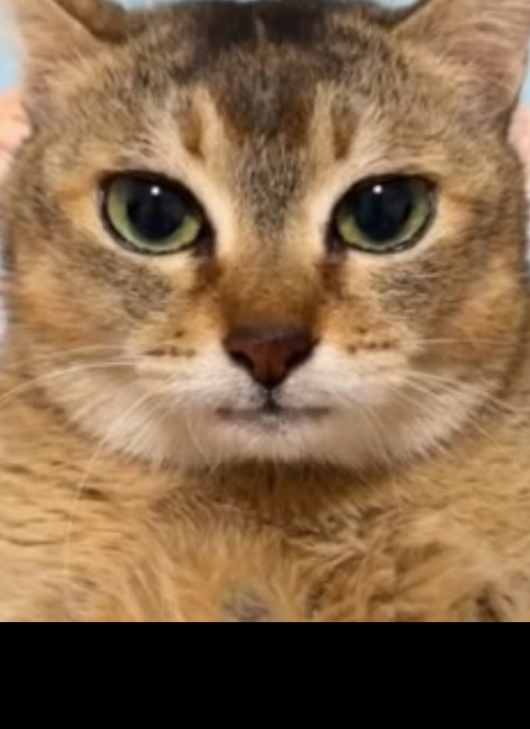 Guest_GRRRRRRRRRRRRRRRRRR1