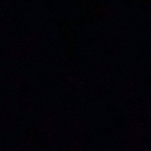 Guest_bear0x