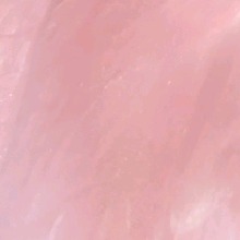 Guest_Ana190824