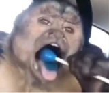 LilT0ki0lil